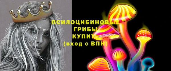 гашик Горнозаводск
