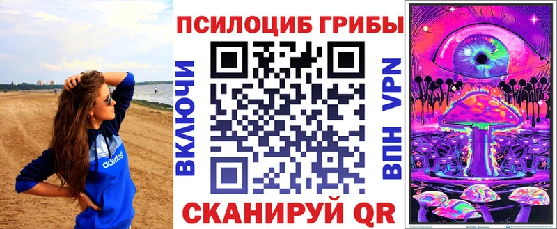 Галлюциногенные грибы Psilocybine cubensis  где купить наркоту  Западная Двина 