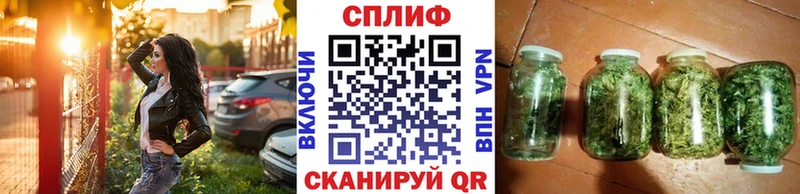 купить цена Западная Двина Конопля семена